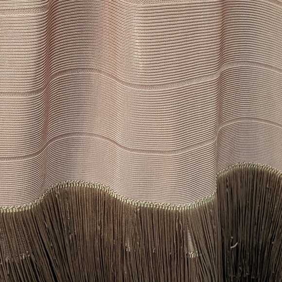 Venus Body Con Fringe Blush Dress - Picture 2 of 5